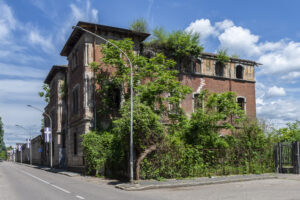 Diego Valceschini: Cotonificio Bernocchi